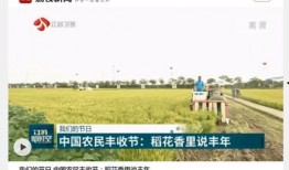 兴化爆料新闻最新,事件详情曝光