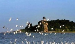 北戴河爆料博主视频大全,博主视频大全揭秘海滨风情