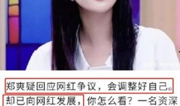 网红郑爽最新爆料,真实与虚假的较量